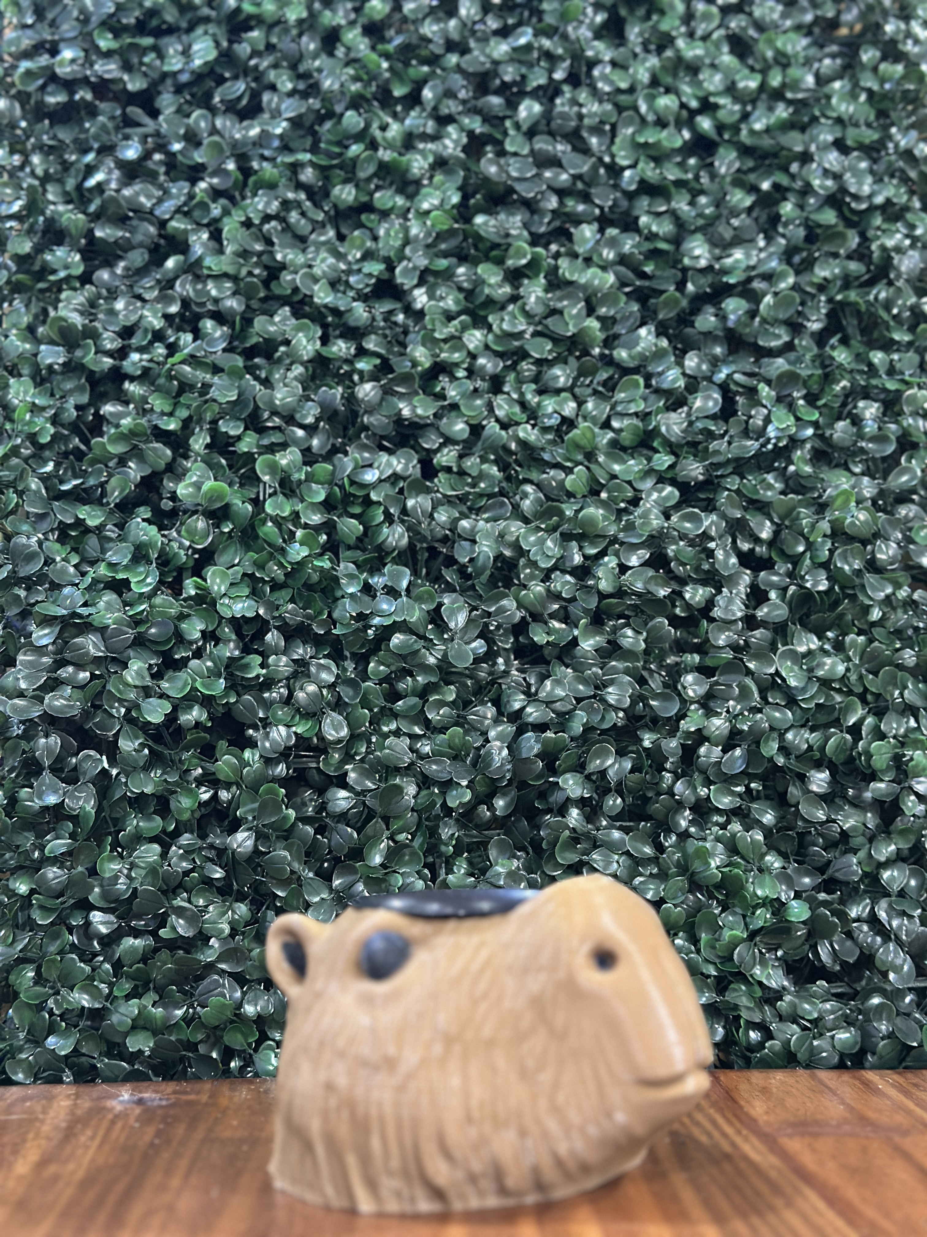 Mate 3D Carpincho / Capibara 🦦🧉🇦🇷