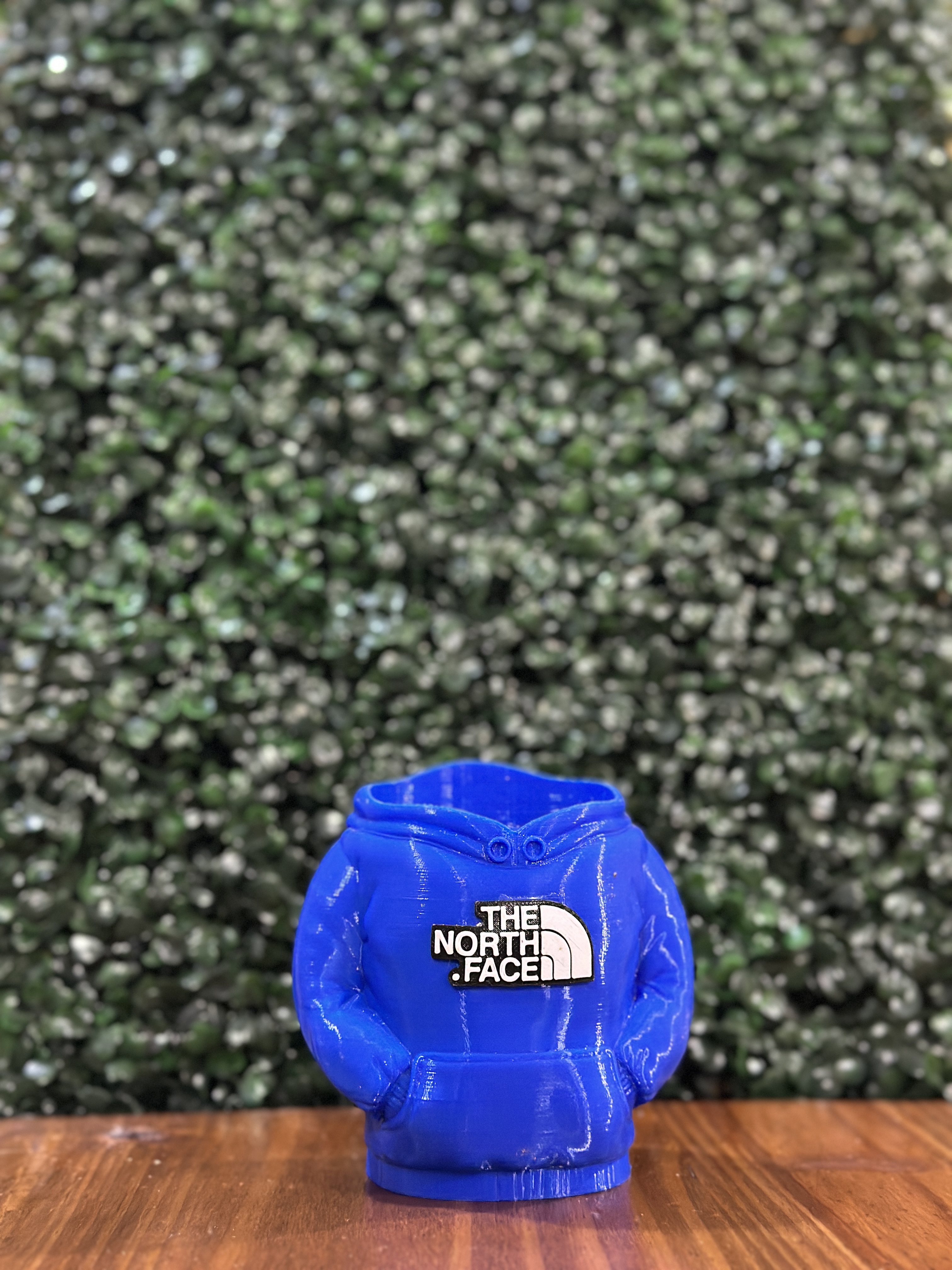 Mate 3D Buzo / Hoodie The North Face 🧥💙🏔️🧉